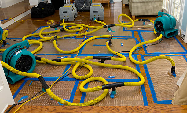 Professional Storm Water Damage Restoration technician working in Jackson, OH